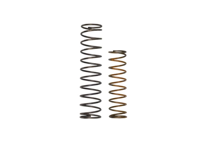 OLD Race Port Spring Kit