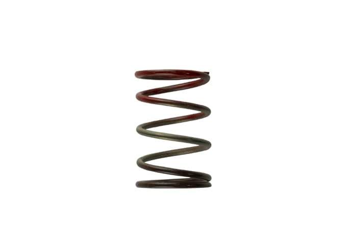 Gen4 IWG WG38/40/45/50L 11PSI MIDDLE SPRING - BROWN/RED