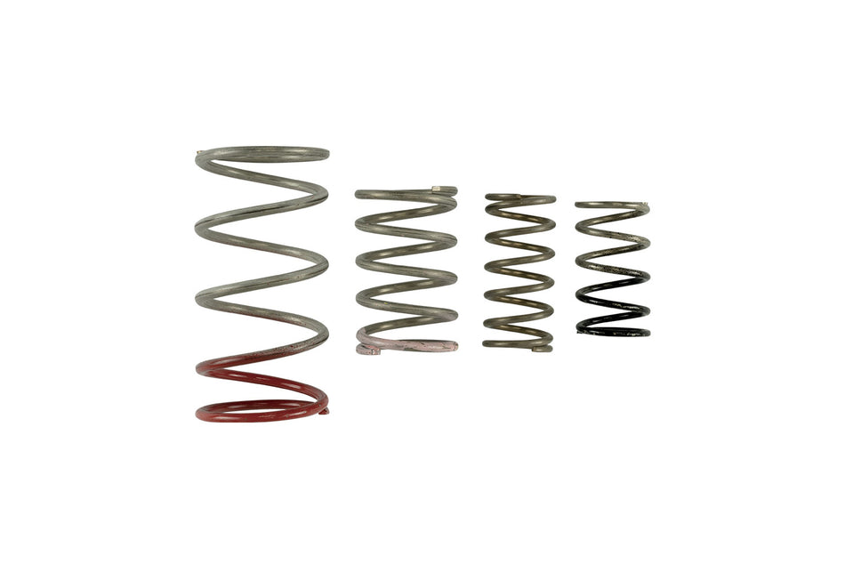 GenV IWG Spring Replacement Kit